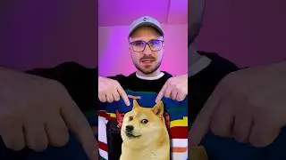 Мем собака Кабосу БОЛЬШЕ НЕТ 😢 Dogecoin