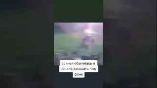 ЛЮТАЯ СВИНЬЯ ЛЕТИТ ПОД ФОНК