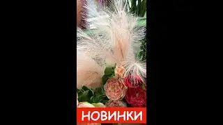 🤩 Фикс Прайс Шикарные Новинки