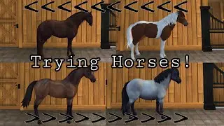 Trying Horses || SSO RRP