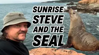 Sunrise Steve and the Seal