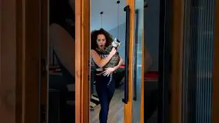 FINDING MY CAT A BOYFRIEND…