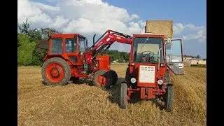 Prace Pożniwne Rozwożenie Obornika Siew Pszenicy Mtz-82 Wladimirec T25