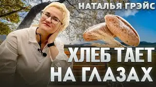 ХЛЕБ ТАЕТ НА ГЛАЗАХ!!! КАК СЕБЯ МОТИВИРОВАТЬ В ТРУДНОЕ ВРЕМЯ. РАНЕНЫХ НА СВО ОБУЧАЮ БЕСПЛАТНО. ГРЭЙС