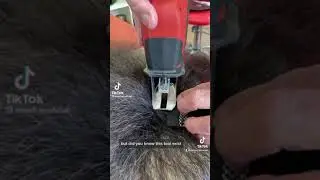 Fast Wig Making Machine!