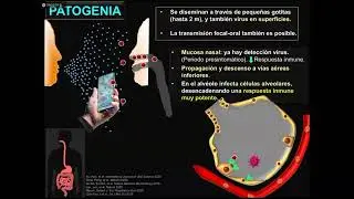 CONTINUIDAD DICIEMBRE MPH SALUD 2021