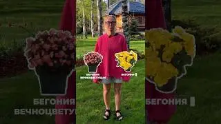 #ландшафт #дача #ландшафтнийдизайн #garden #садовник #сад