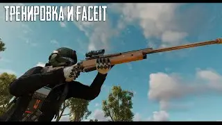 Тренировка и FACEIT