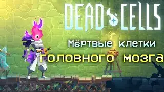 ТЕСТИМ 35 ОБНОВЛЕНИЕ! [Dead Cells]