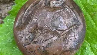 Знак Эдельвейс За Отлтчную Стрельбу! Поиск с металлоискателем!!!