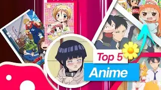TOP 5 