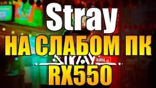 Stray на слабом пк RX550