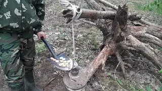 Обнаружил ТАЙНИК под корнем, такое СЧАСТЬЕ найти КЛАД в лесу