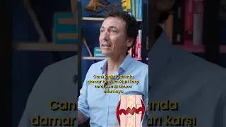 HOW DOES THE BROKEN BONE HEALS?