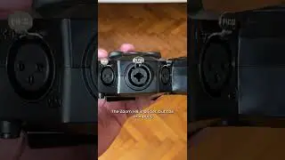 Which One Should You Buy? Zoom H6 vs Zoom H8