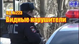 Вектор Движения №223 Видные нарушители 
