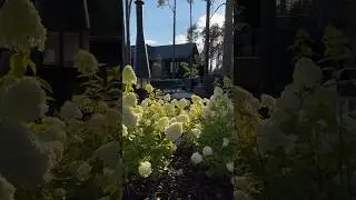 Заказать проект/ реализацию сада #ландшафт#ландшафтныйдизайн#ландшафтноепроектирование #леснойсад