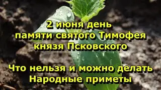 Народный праздник «Тимофей Грядочник». 2 июня. Что нельзя делать. народные приметы.
