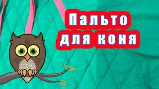 Пальто для коня