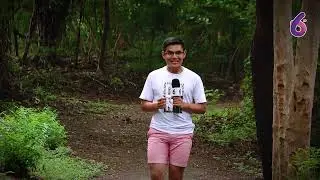 ¿Has escuchado la historia de chico largo en la Isla de Ometepe? 🤔