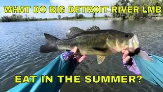 How To Catch Huge Largemouth Bass In The Detroit River