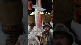 Три вида пресноводных рыб которых можно есть сырыми