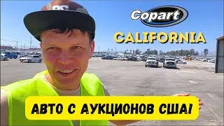 Везу автомобили из ШТАТОВ в РФ! Что есть интересного на площадке?