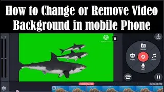 How to Change Video Background using Chroma Key in Kinemaster - How to Remove Video Background