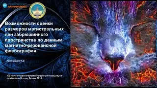 Нейронная сеть и МРТ вен доклад Мазайшвили на АФР 02.06.2018