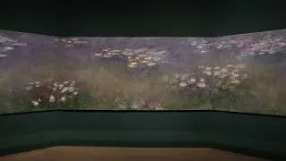 SOMEWHERE BETWEEN PAINTING & CINEMA | MONET | PAINTING THE MODERN GARDEN | EXHIBITION ON SCREEN