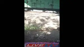 я не могу так где моё всё
