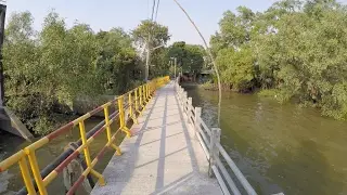 Day Trip to Bang Krachao (All Highlights)