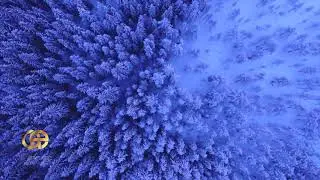 Yoga Nidra Health & Immunity | Corona Virus