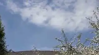 Голуби на крыше - Футажи. Футажи для видеомонтажа