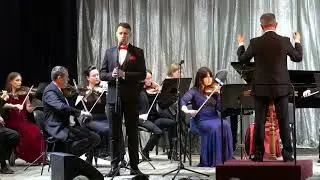 "Летять ніби чайки". Андрій Оленин