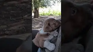 С прибавлением нас😊