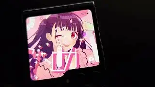zflip5