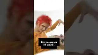 #панкжив
