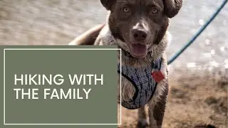 Hiking with the Family!