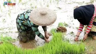 GADIS YANG TANGGUH | HIDUP BERDUA DENGAN IBUNYA |