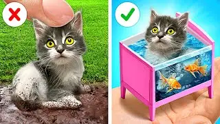 Я построил ТАЙНУЮ комнату для моего бездомного кота, которую папа никогда не найдет!