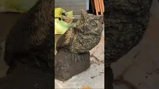 Сова из цемента своими руками 