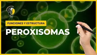PEROXISOMAS - Funciones y estructura 😀