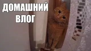 ПОЧЕМУ МОЯ ЗЛАЯ СЕСТРА ТАКАЯ ДОБРАЯ ?