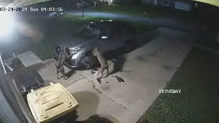 Dogs Trying to Get to Cat Tear Up Car and Create $3,000 Worth of Damage
