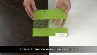Стандарт Тёмно-зелёный Интерсклад Зебра