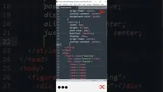 Branch | HTML CSS & JavaScript