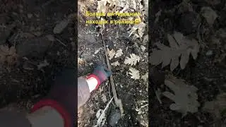 Поиск с металлоискателем!!!