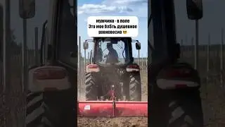 Полевая терапия 👌 #сельскоехозяйство #поле #психология