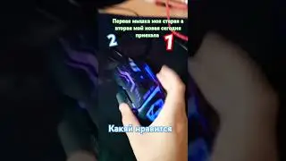 новая мышка приехала как вам